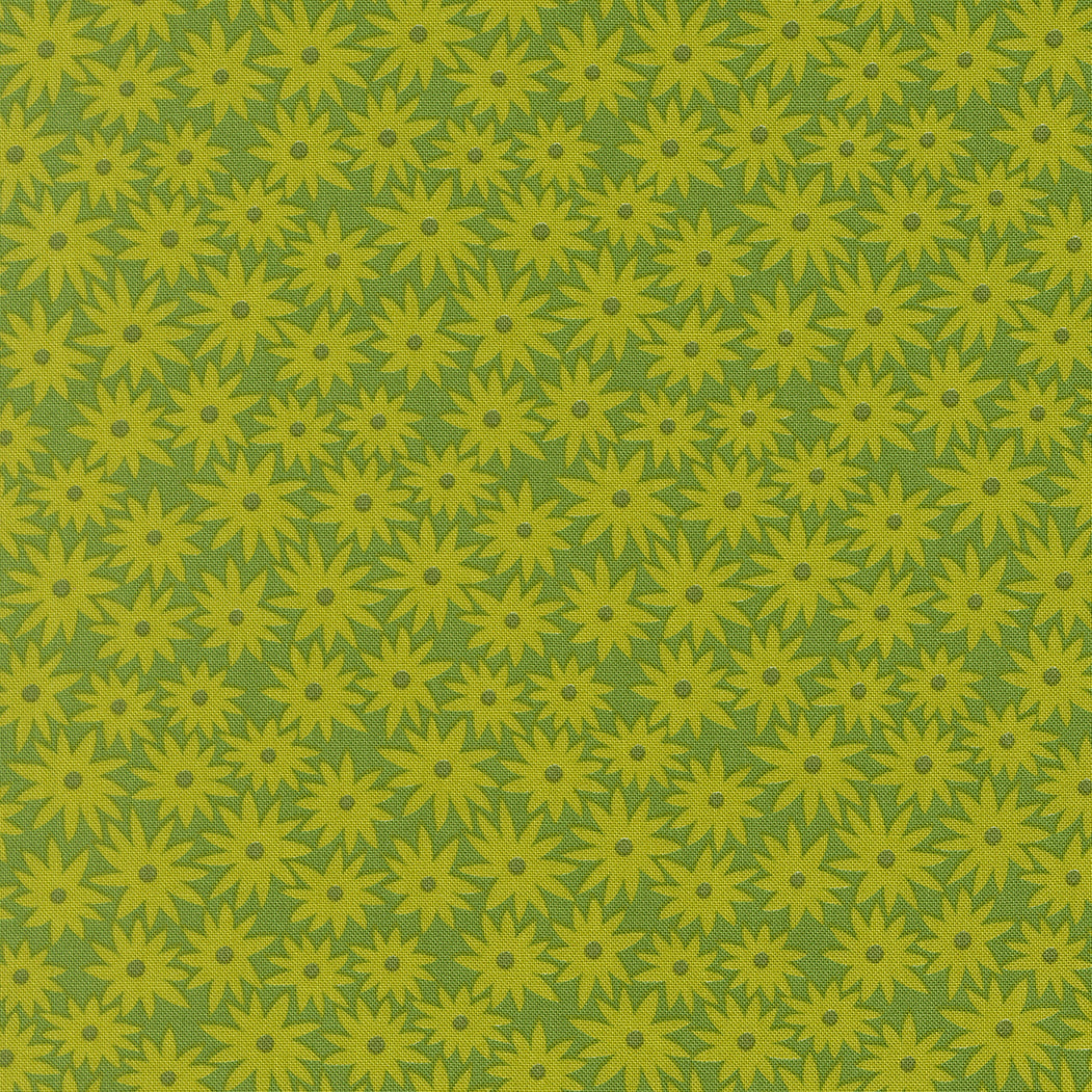 Scenery || Elizabeth Hartman || Sedum Limeade