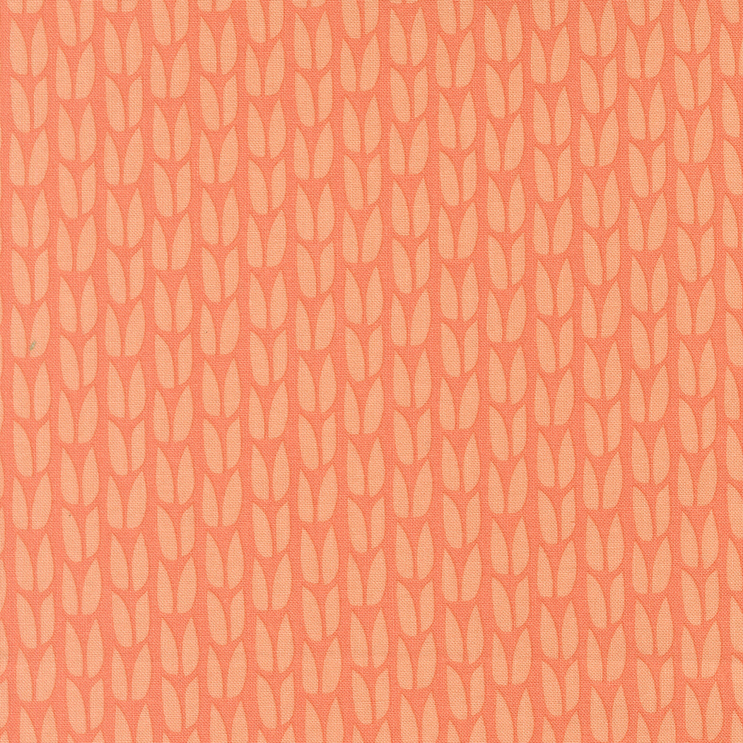 Scenery || Elizabeth Hartman || Sprout Coral