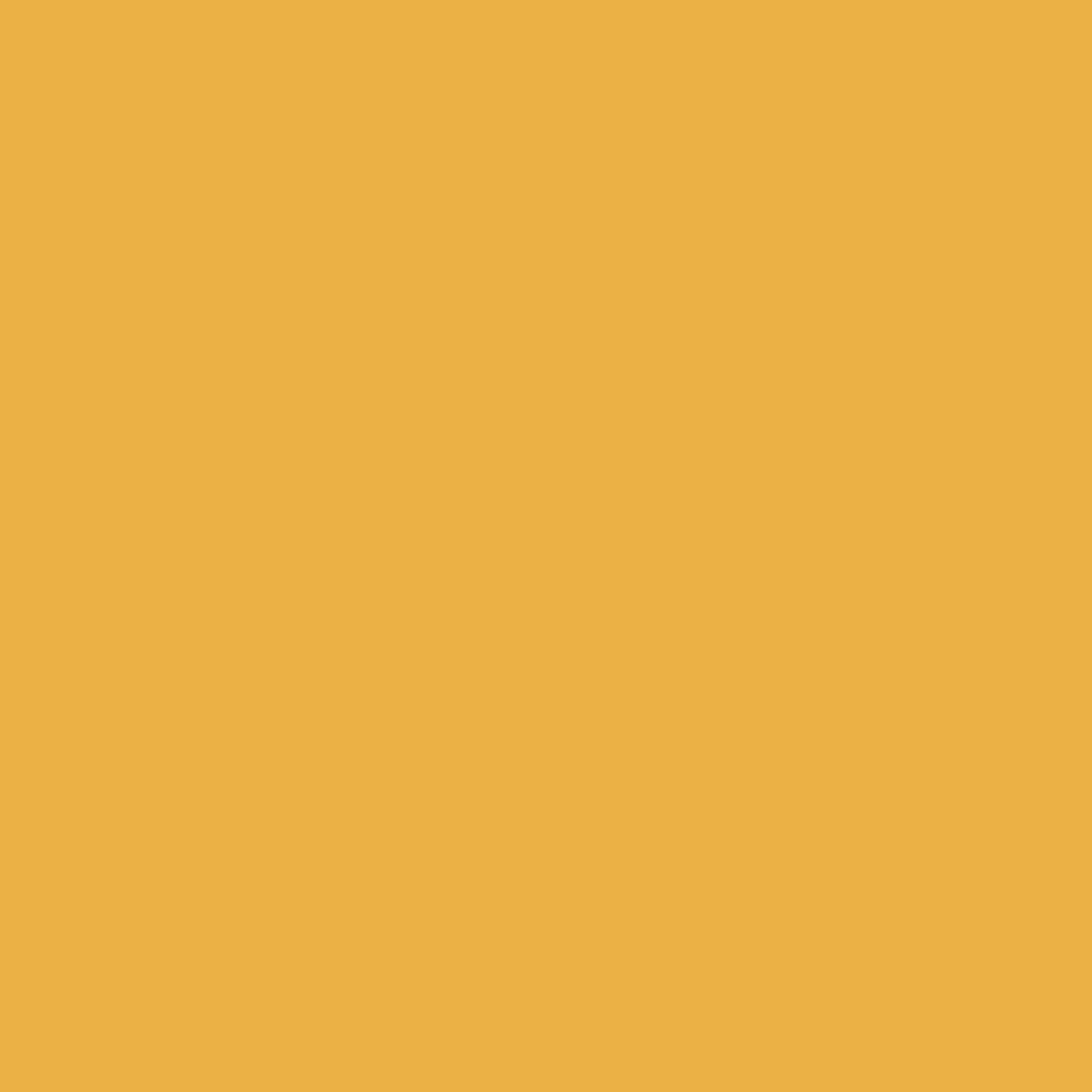 ECCO Cotton - Goldenrod