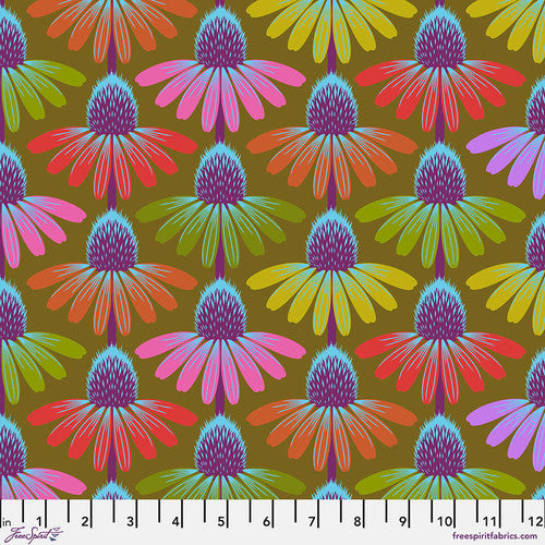 Echinacea - Autumn - Anna Maria Horner
