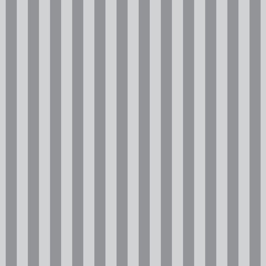 Tula Pink's Greywork - Tent Stripe Fog