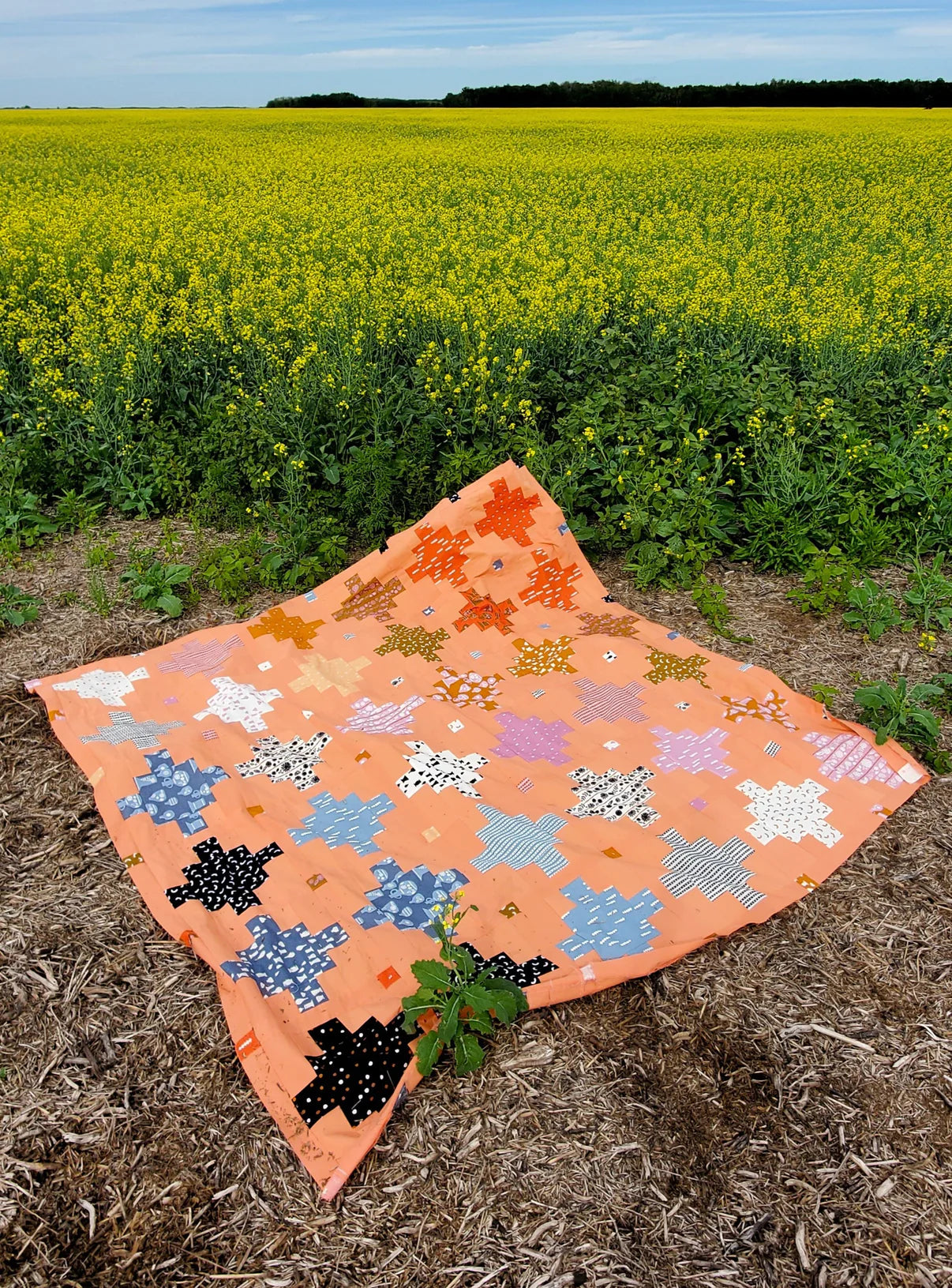 Crumb Coat Quilt Pattern - Taralee Quiltery