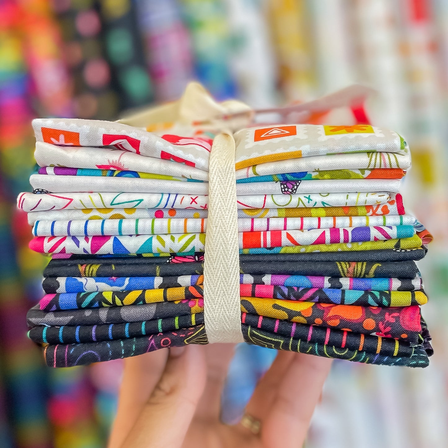 Color Wheel 16 Fabric Bundle - Alison Glass