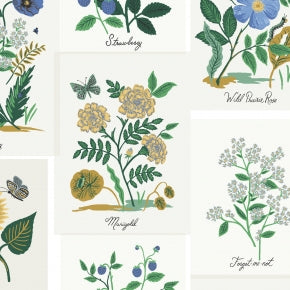 Curio - Riffle Paper Company - Coming October 2023
