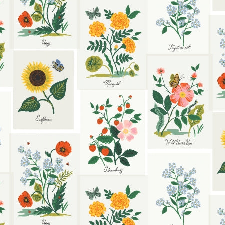 Curio by Rifle Paper Company - Botanical Prints