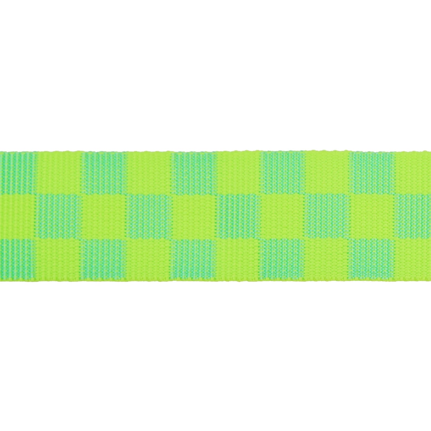 Check Please 1 ½" Webbing || Tula Pink || Moonbeam