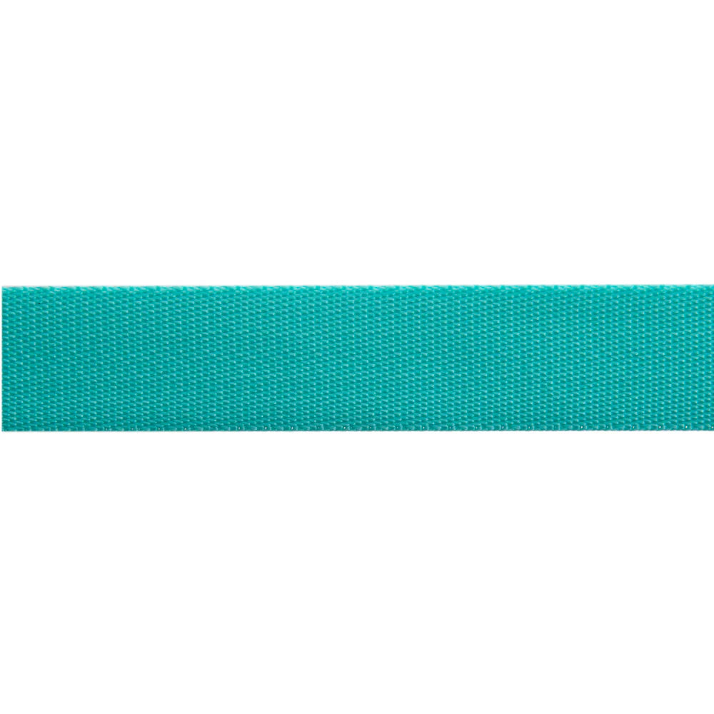 Everglow Neon Webbing || Tula Pink || Spirit