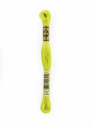DMC Six Strand Embroidery Floss - Colour 12