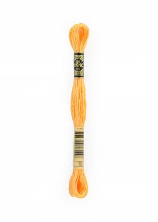 DMC Six Strand Embroidery Floss - Colour 19