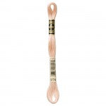 DMC Six Strand Embroidery Floss - Colour 3774