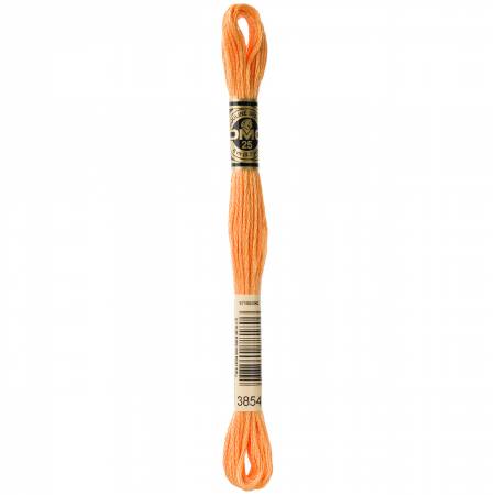 DMC Six Strand Embroidery Floss - Colour 3854