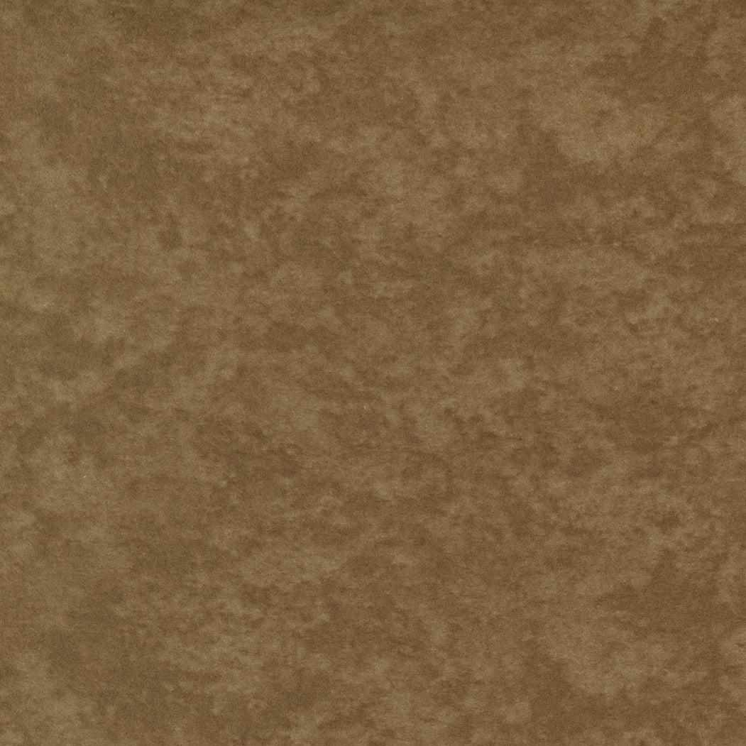 Fall Fantasy Flannels by Holly Taylor