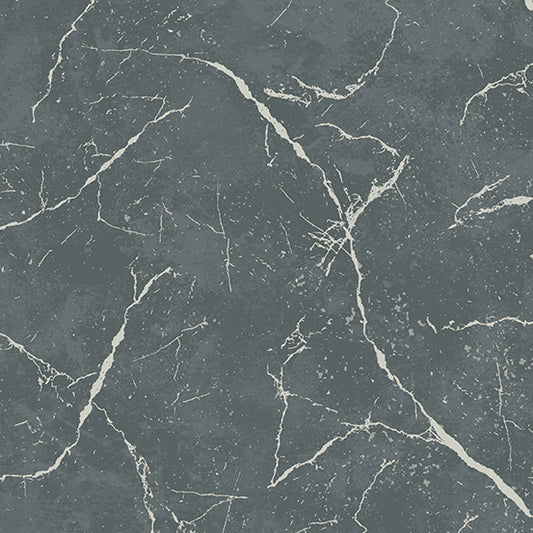 Pietra Fabric - Graphite - by Giucy Giuce for Andover