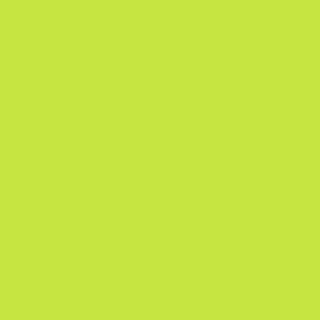 Tula Pink Solid -- Limeade