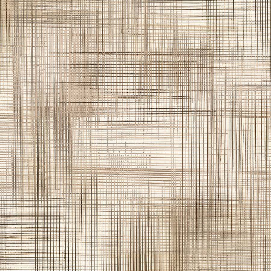 Dream Weaver - Deborah Edwards