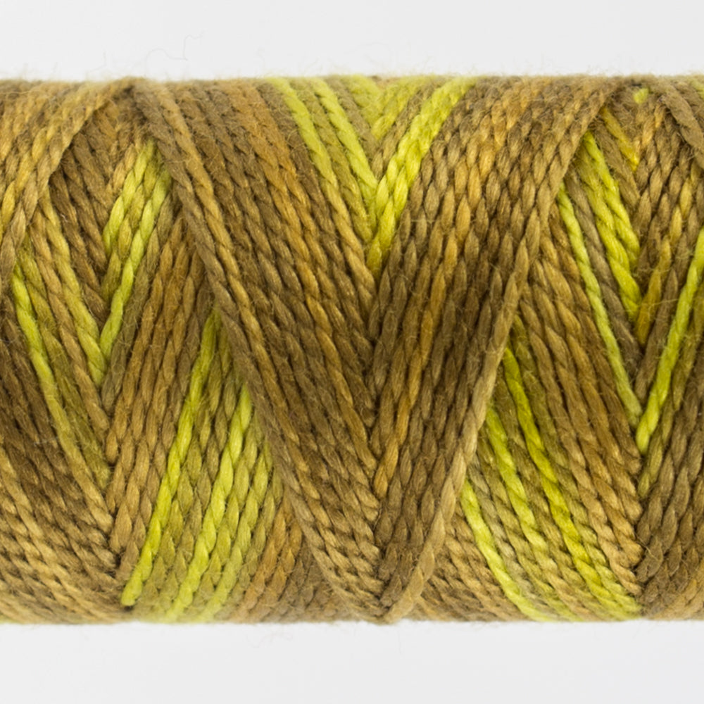 Sue Spargo's Eleganza Variegated - Golden Rules - EZM6