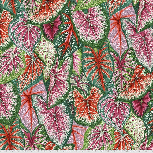 Kaffe Fassett Prints -Caladiums - Bright