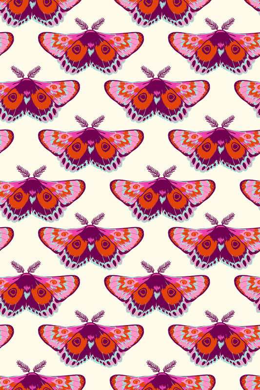 Firefly -- Sarah Watts -- Glow Moth Fire