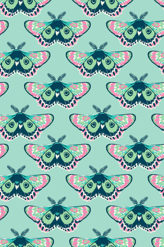 Firefly -- Sarah Watts -- Glow Moth Frost