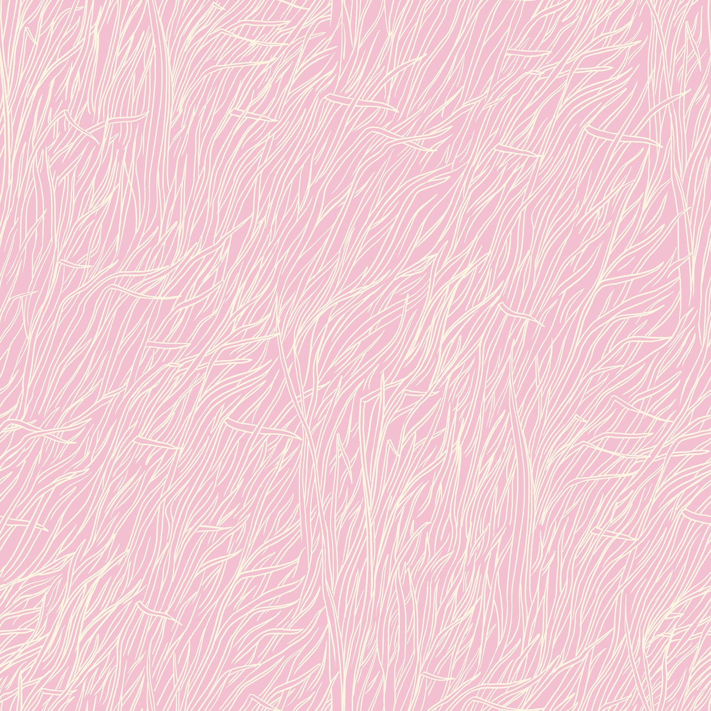 Firefly -- Sarah Watts -- Whisper Peony