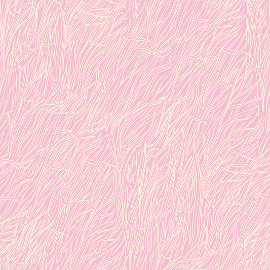 Firefly -- Sarah Watts -- Whisper Peony