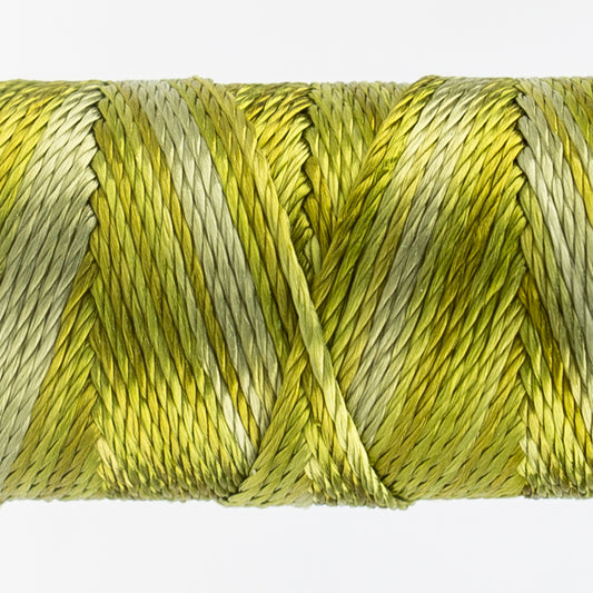 Sue Spargo's Variegated  Razzle Thread - 100% Rayon Thread - RZM09 - Marsh Grass