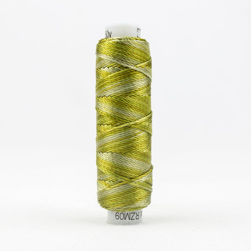 Sue Spargo's Variegated  Razzle Thread - 100% Rayon Thread - RZM09 - Marsh Grass