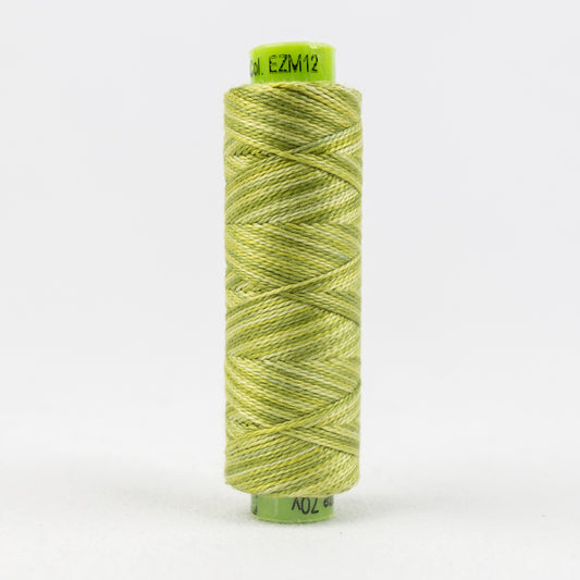 Sue Spargo's Eleganza Pearle Cotton Variegated - Inchworm- EZM12