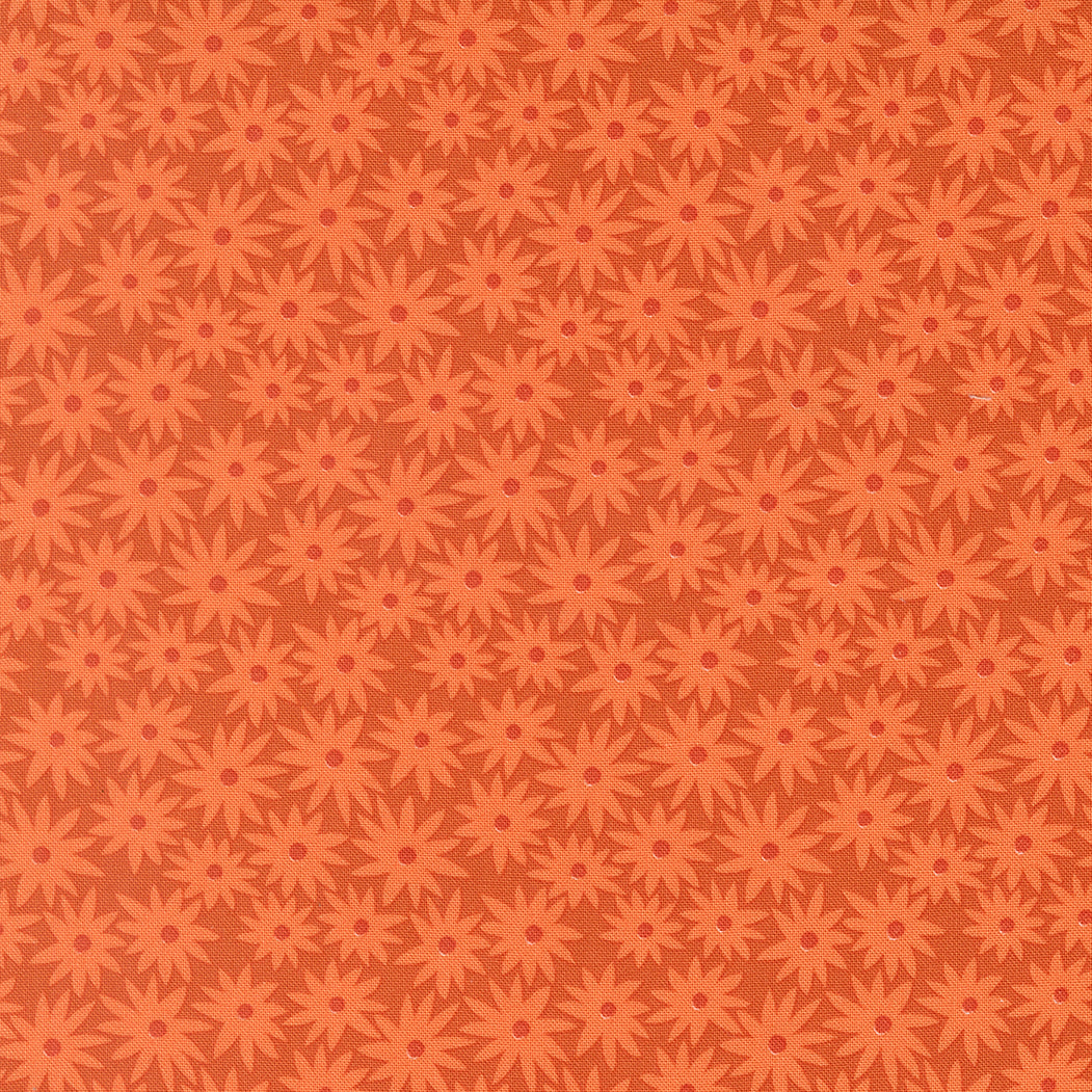 Scenery || Elizabeth Hartman || Sedum Yam