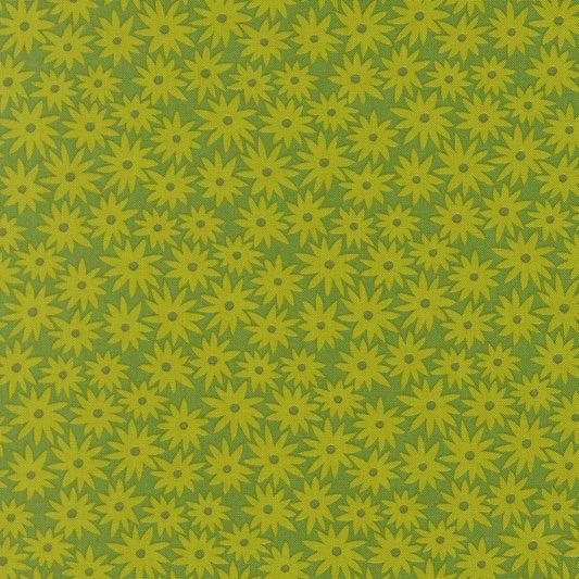 Scenery || Elizabeth Hartman || Sedum Limeade
