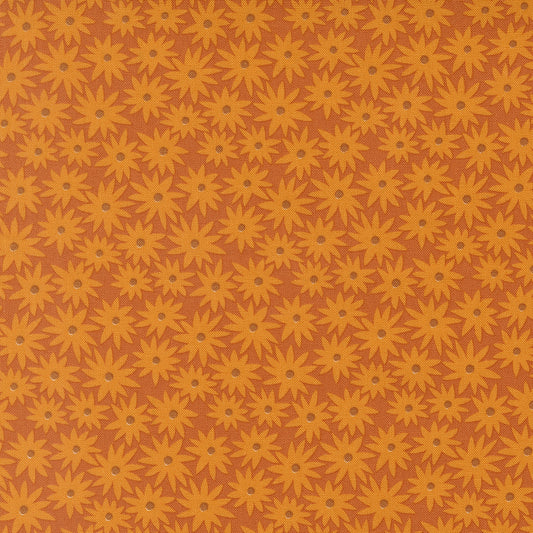 Scenery || Elizabeth Hartman || Sedum Dark Rusty