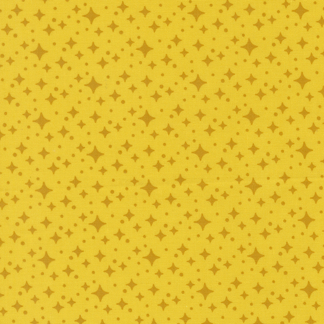 Scenery || Elizabeth Hartman || Starlight Citrine
