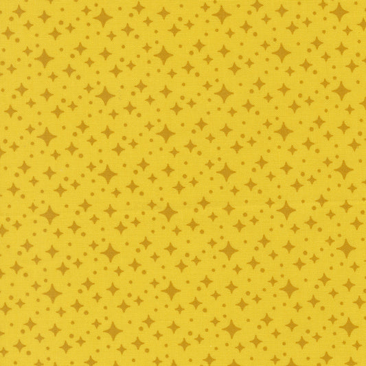 Scenery || Elizabeth Hartman || Starlight Citrine