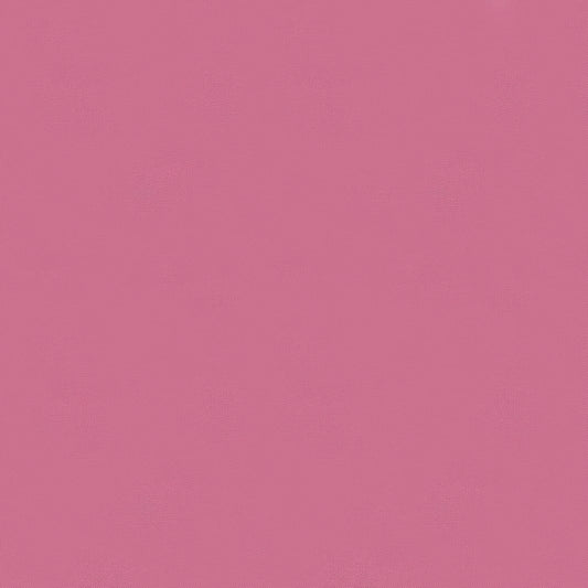 Bella Solid - Elizabeth's Favourite - English Rose