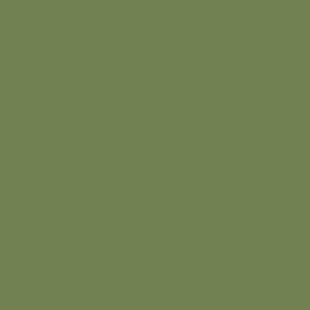ECCO Cotton - Thyme