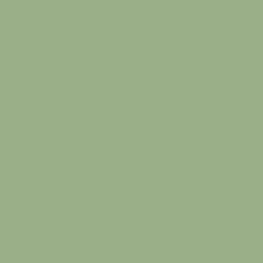 ECCO Cotton - Sage