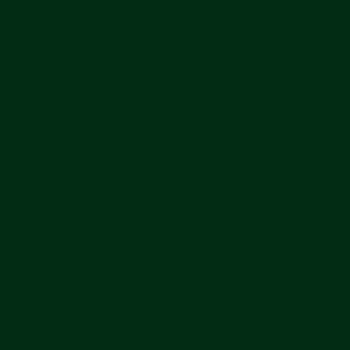 ECCO Cotton - Kale Green
