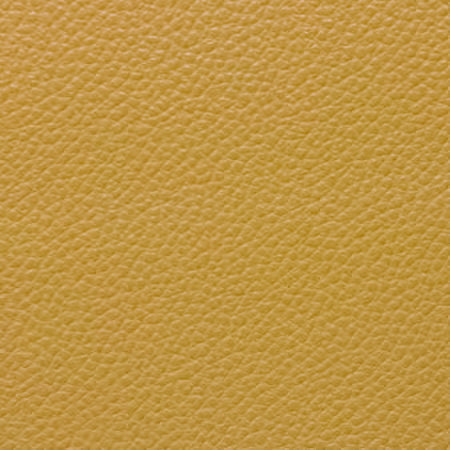 Lucky Penny Wallet Kit