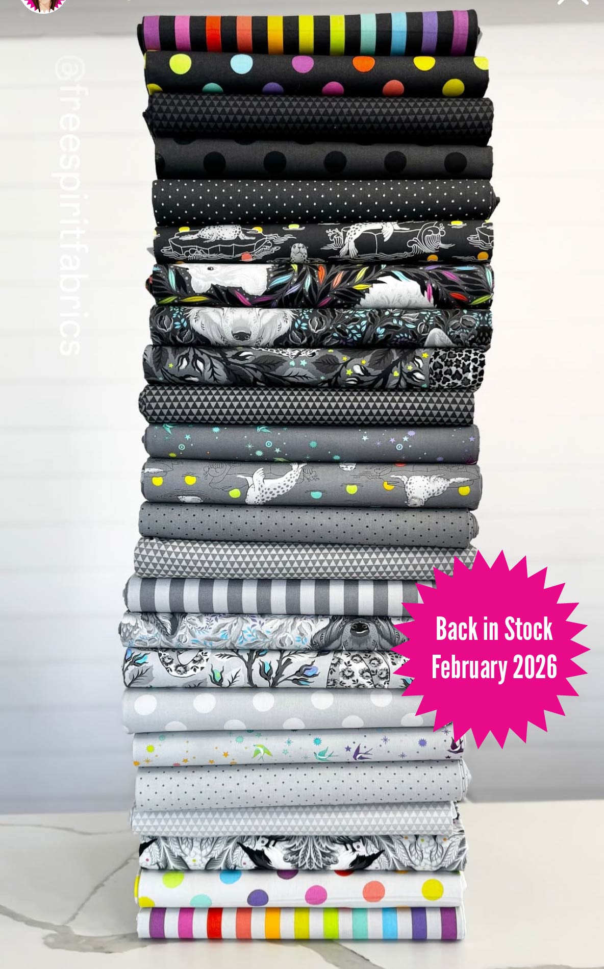 Tula Pink Graywork and Graywork True Colours Bundle - 24 Fabrics || Preorder, Ships February 2025