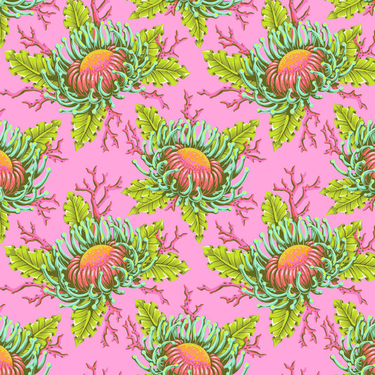 Tula Pink's Floral Reef Fabrics || Friends & Anemones Coraline