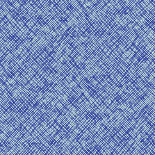 Memento Fabric || Carolyn Friedlander for Ruby Star Society || Crosshatch Lapis
