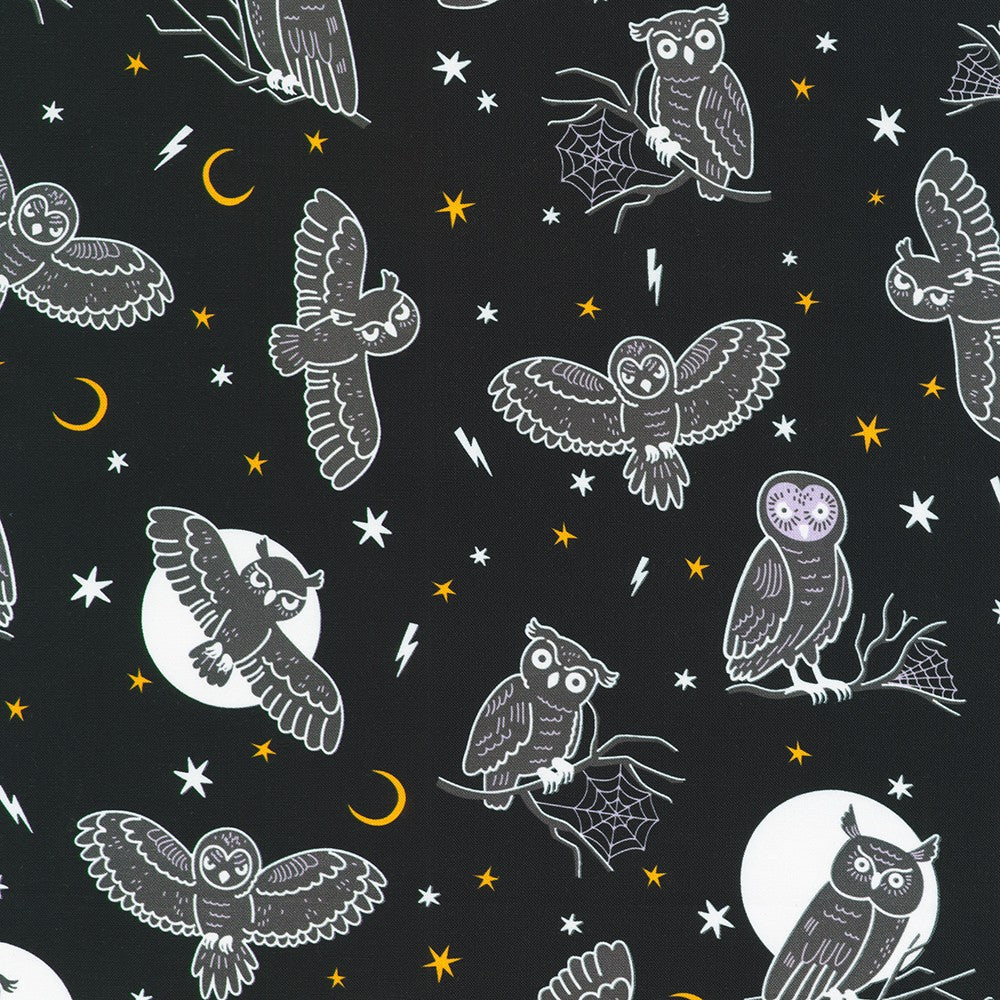 Lights Out Glow in the dark || Robert Kaufman || Night
