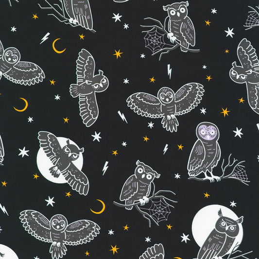 Lights Out Glow in the dark || Robert Kaufman || Night