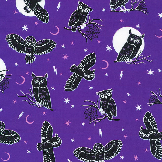 Lights Out Glow in the dark || Robert Kaufman || Midnight Purple