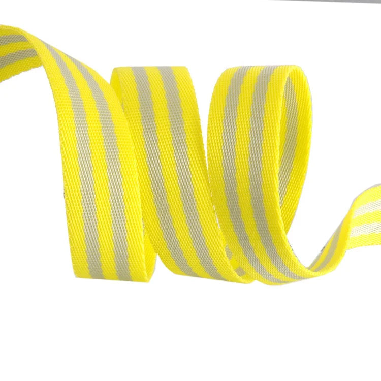 Tula Pink Striped Webbing -1" || 2 yards || Soft Grey & Neon