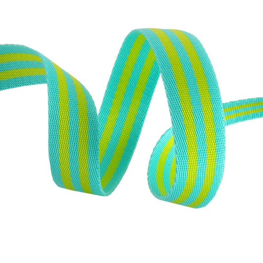 Tula Pink Striped Webbing -1" || 2 yards || Lime / Turquoise