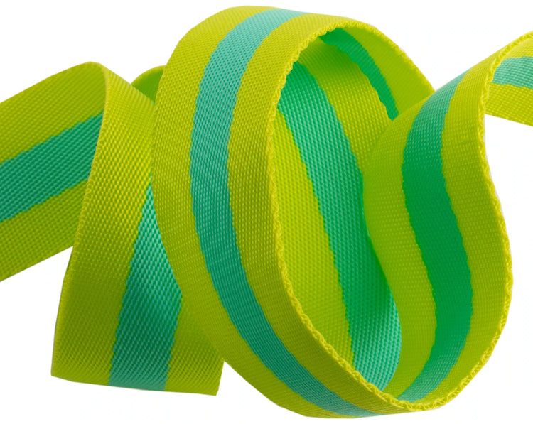 Tula Pink Striped Webbing -1 ½" || 2 yards || Lime / Turquoise