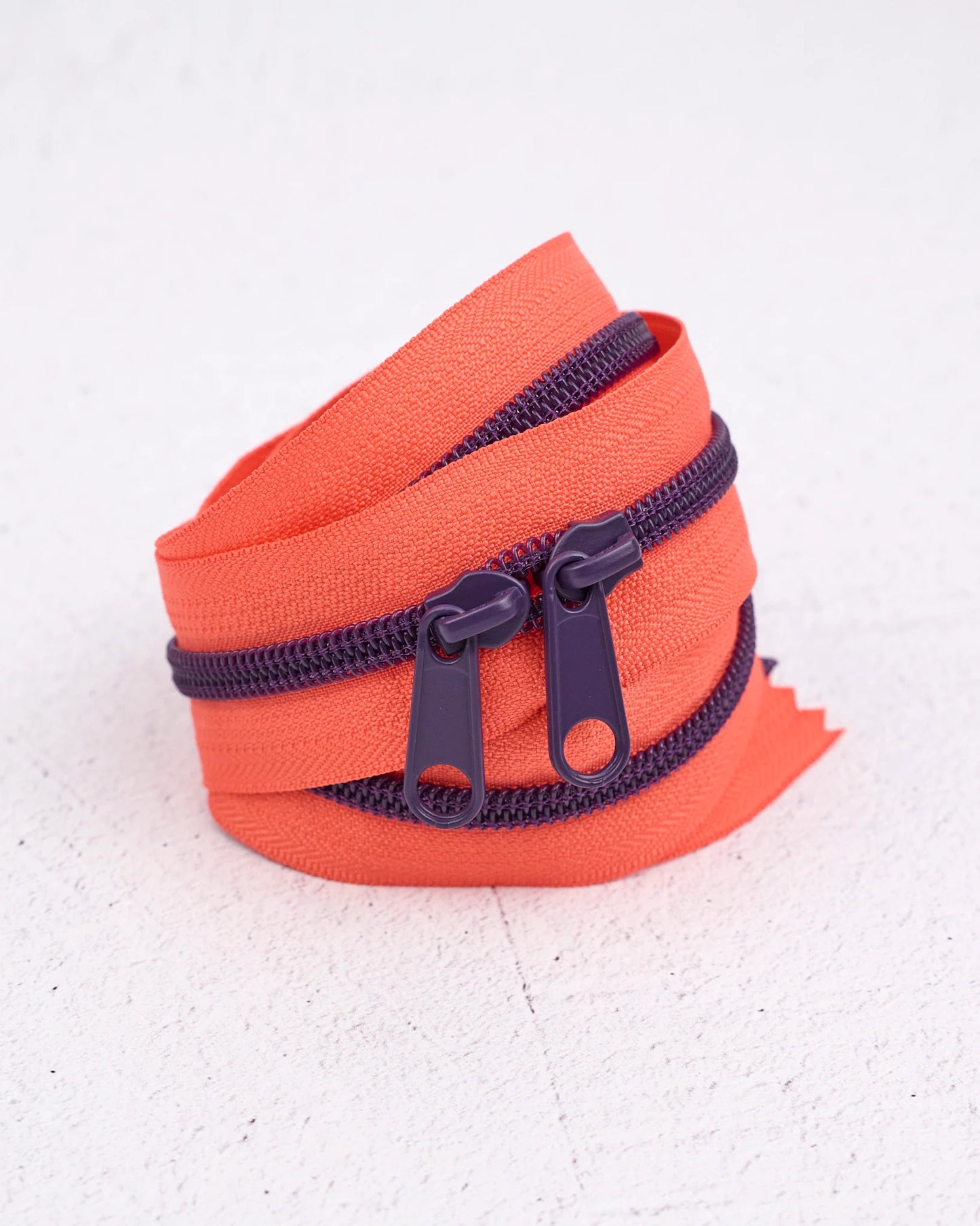 Handbag Zipper || Renaissance Ribbon || Hocus Pocus