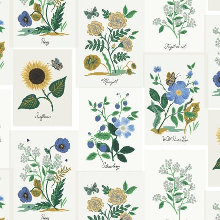 Curio by Rifle Paper Company - Botanical Prints in Blue