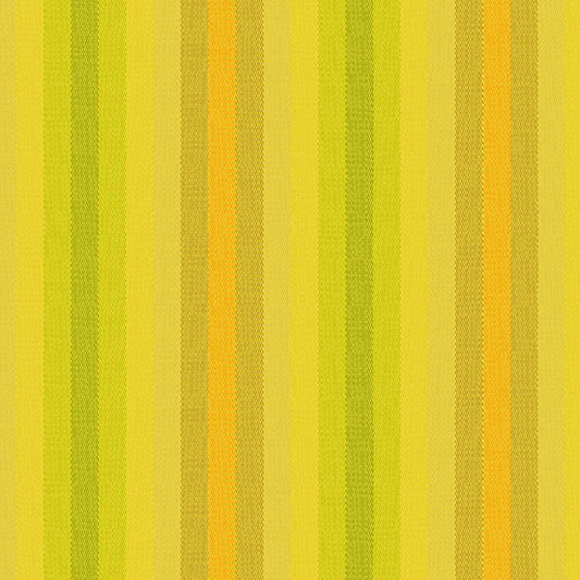 Alison Glass Kaleidoscope Stripe Sunshine